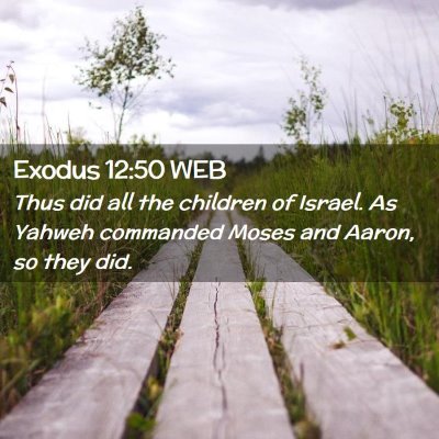 Picture 02 - Exodus 12:50 WEB - Thus did all the children of Israel. As Yahweh - Bible Verse Picture