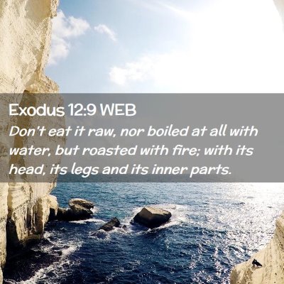 Picture 02 - Exodus 12:9 WEB - Don't eat it raw, nor boiled at all with water, - Bible Verse Picture