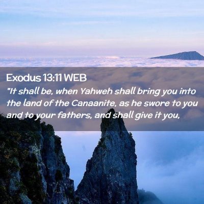 Picture 02 - Exodus 13:11 WEB - 