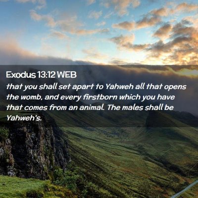 Picture 02 - Exodus 13:12 WEB - that you shall set apart to Yahweh all that opens - Bible Verse Picture
