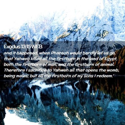 Picture 02 - Exodus 13:15 WEB - and it happened, when Pharaoh would hardly let us - Bible Verse Picture
