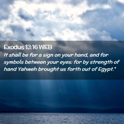 Picture 02 - Exodus 13:16 WEB - It shall be for a sign on your hand, and for - Bible Verse Picture