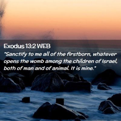 Picture 02 - Exodus 13:2 WEB - 