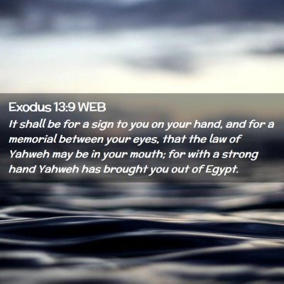 Picture 02 - Exodus 13:9 WEB - It shall be for a sign to you on your hand, and - Bible Verse Picture