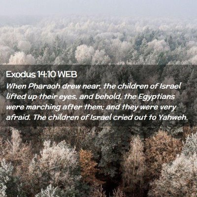Picture 02 - Exodus 14:10 WEB - When Pharaoh drew near, the children of Israel - Bible Verse Picture