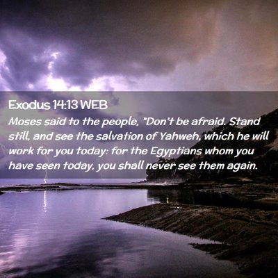 Picture 02 - Exodus 14:13 WEB - Moses said to the people, 