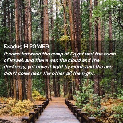 Picture 02 - Exodus 14:20 WEB - It came between the camp of Egypt and the camp of - Bible Verse Picture