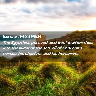 Picture 02 - Exodus 14:23 WEB - The Egyptians pursued, and went in after them - Bible Verse Picture