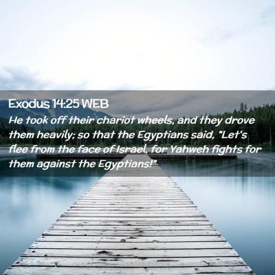 Picture 02 - Exodus 14:25 WEB - He took off their chariot wheels, and they drove - Bible Verse Picture