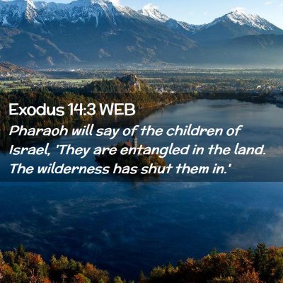 Picture 02 - Exodus 14:3 WEB - Pharaoh will say of the children of Israel, 'They - Bible Verse Picture
