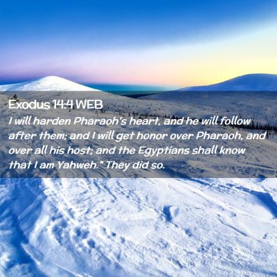 Picture 02 - Exodus 14:4 WEB - I will harden Pharaoh's heart, and he will follow - Bible Verse Picture