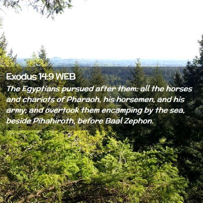 Picture 02 - Exodus 14:9 WEB - The Egyptians pursued after them: all the horses - Bible Verse Picture