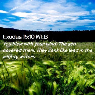 Picture 02 - Exodus 15:10 WEB - You blew with your wind. The sea covered them. - Bible Verse Picture