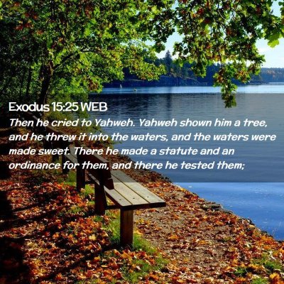 Picture 02 - Exodus 15:25 WEB - Then he cried to Yahweh. Yahweh shown him a tree, - Bible Verse Picture