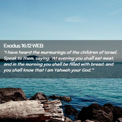 Picture 02 - Exodus 16:12 WEB - 