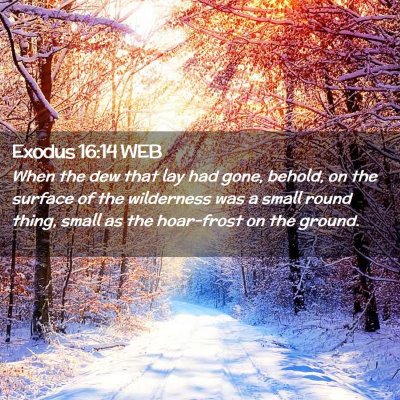 Picture 02 - Exodus 16:14 WEB - When the dew that lay had gone, behold, on the - Bible Verse Picture