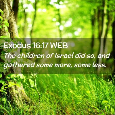 Picture 02 - Exodus 16:17 WEB - The children of Israel did so, and gathered some - Bible Verse Picture