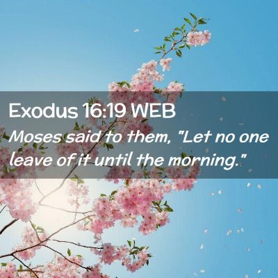 Picture 02 - Exodus 16:19 WEB - Moses said to them, 