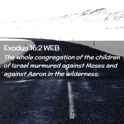 Picture 02 - Exodus 16:2 WEB - The whole congregation of the children of Israel - Bible Verse Picture
