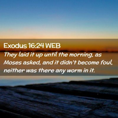 Picture 02 - Exodus 16:24 WEB - They laid it up until the morning, as Moses - Bible Verse Picture