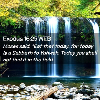 Picture 02 - Exodus 16:25 WEB - Moses said, 