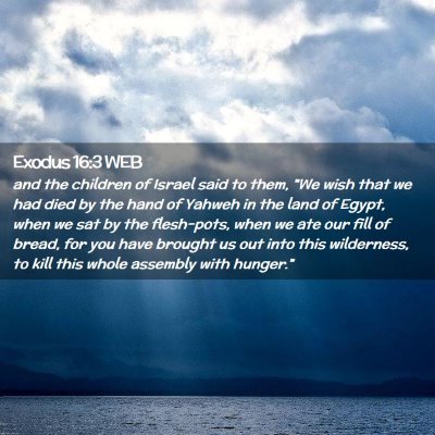 Picture 02 - Exodus 16:3 WEB - and the children of Israel said to them, 