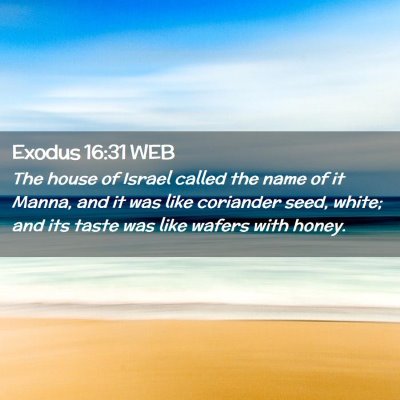 Picture 02 - Exodus 16:31 WEB - The house of Israel called the name of it Manna, - Bible Verse Picture