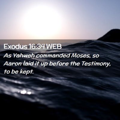 Picture 02 - Exodus 16:34 WEB - As Yahweh commanded Moses, so Aaron laid it up - Bible Verse Picture