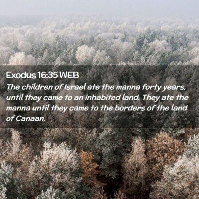 Picture 02 - Exodus 16:35 WEB - The children of Israel ate the manna forty years, - Bible Verse Picture