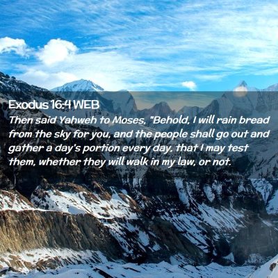 Picture 02 - Exodus 16:4 WEB - Then said Yahweh to Moses, 