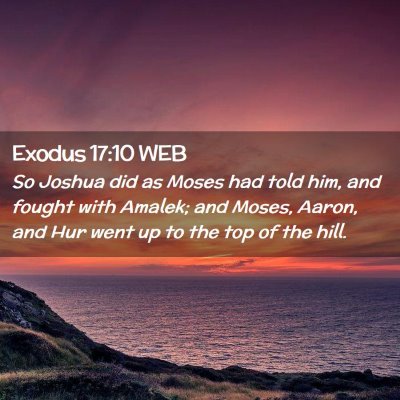 Picture 02 - Exodus 17:10 WEB - So Joshua did as Moses had told him, and fought - Bible Verse Picture
