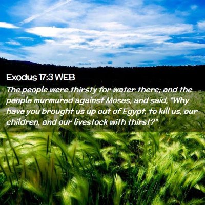 Picture 02 - Exodus 17:3 WEB - The people were thirsty for water there; and the - Bible Verse Picture