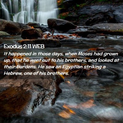 Picture 02 - Exodus 2:11 WEB - It happened in those days, when Moses had grown - Bible Verse Picture