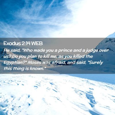 Picture 02 - Exodus 2:14 WEB - He said, 
