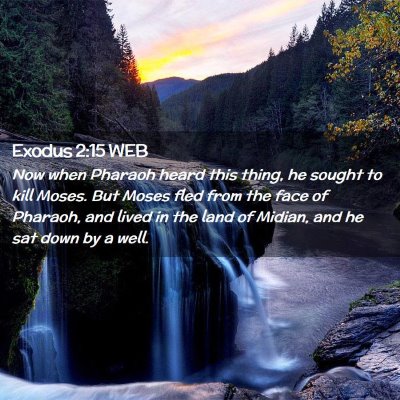 Picture 02 - Exodus 2:15 WEB - Now when Pharaoh heard this thing, he sought to - Bible Verse Picture