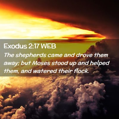 Picture 02 - Exodus 2:17 WEB - The shepherds came and drove them away; but Moses - Bible Verse Picture