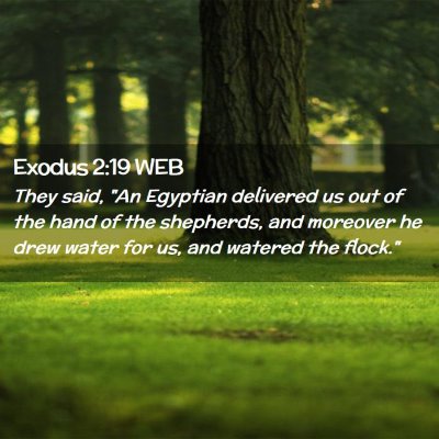 Picture 02 - Exodus 2:19 WEB - They said, 