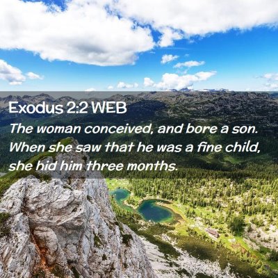 Picture 02 - Exodus 2:2 WEB - The woman conceived, and bore a son. When she saw - Bible Verse Picture