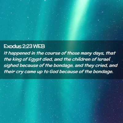 Picture 02 - Exodus 2:23 WEB - It happened in the course of those many days, - Bible Verse Picture