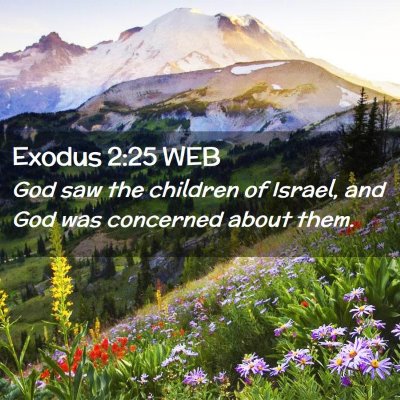 Picture 02 - Exodus 2:25 WEB - God saw the children of Israel, and God was - Bible Verse Picture