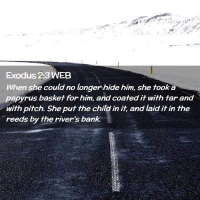Picture 02 - Exodus 2:3 WEB - When she could no longer hide him, she took a - Bible Verse Picture