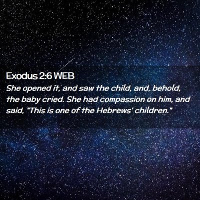 Picture 02 - Exodus 2:6 WEB - She opened it, and saw the child, and, behold, - Bible Verse Picture