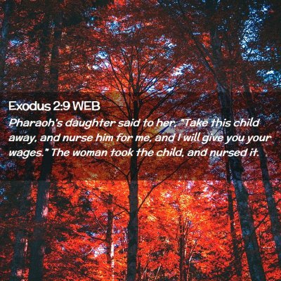 Picture 02 - Exodus 2:9 WEB - Pharaoh's daughter said to her, 
