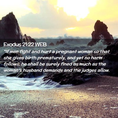 Picture 02 - Exodus 21:22 WEB - 