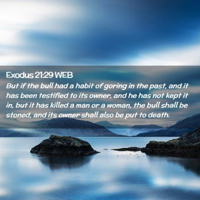 Picture 02 - Exodus 21:29 WEB - But if the bull had a habit of goring in the - Bible Verse Picture