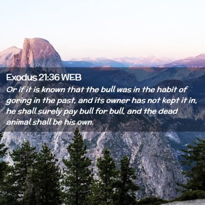 Picture 02 - Exodus 21:36 WEB - Or if it is known that the bull was in the habit - Bible Verse Picture