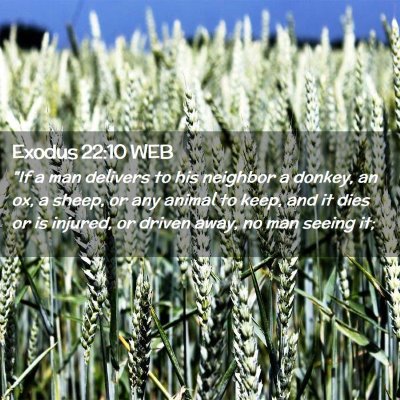 Picture 02 - Exodus 22:10 WEB - 