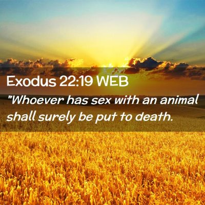 Picture 02 - Exodus 22:19 WEB - 