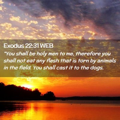 Picture 02 - Exodus 22:31 WEB - 