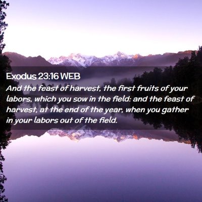 Picture 02 - Exodus 23:16 WEB - And the feast of harvest, the first fruits of - Bible Verse Picture
